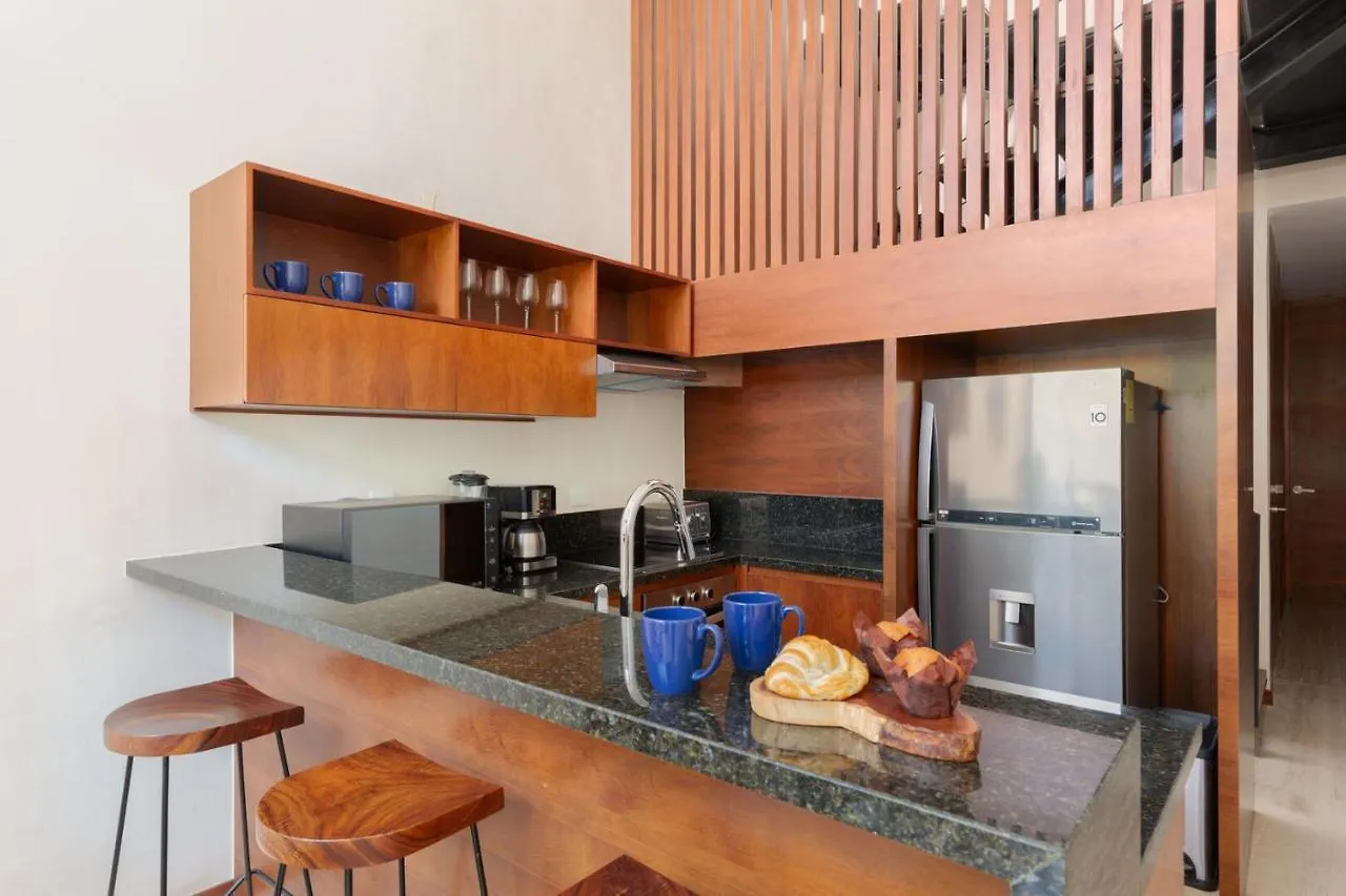 Luxury 2Br Apartment Aldea Zama With Private Rooftop Plunge Pool 24 7 Security In A Gated Community Tulum 0*,  Mexico