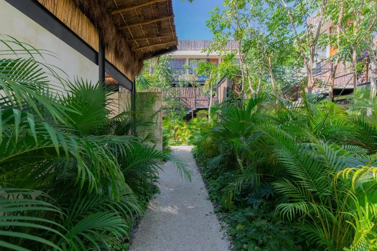 Luxury 2Br Apartment Aldea Zama With Private Rooftop Plunge Pool 24 7 Security In A Gated Community Tulum